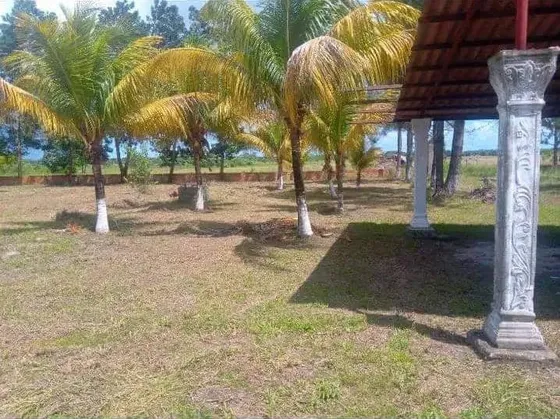Mini Fincasa En Las Adyacencias De Guanaguanei Ve02-1598zn-dced