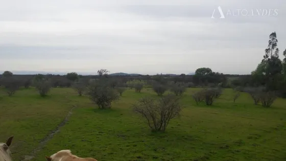 Sitio En Venta En San Javier