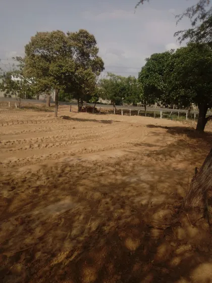 Vendo Lote De 640 M2 En Juan De Acosta