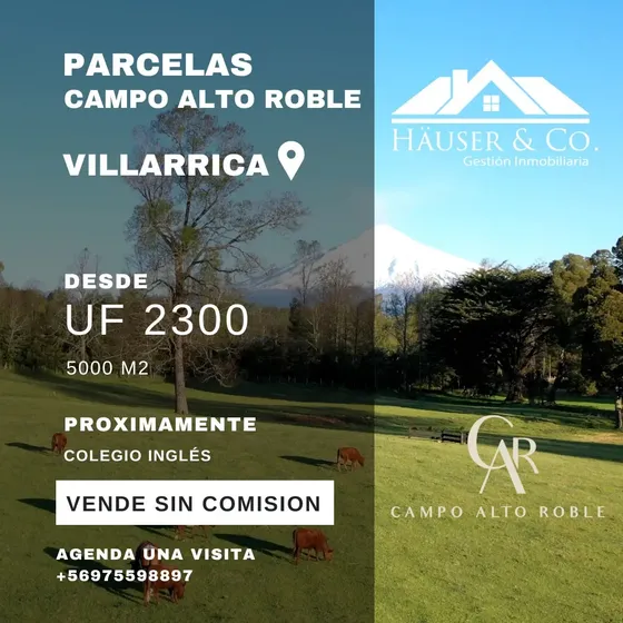 Parcelas Campo Alto Roble Villarrica