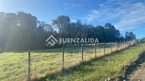 ¡excelente Oportunidad! Uf 3.100 Parcela Bosque Molino Viejo
