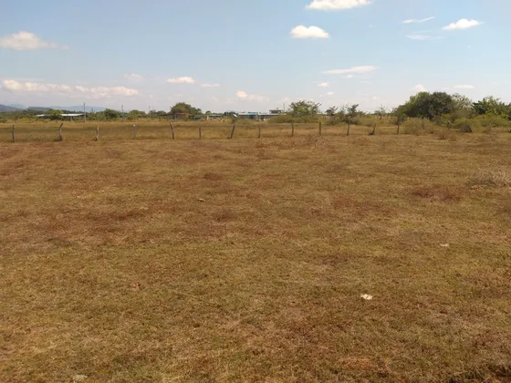 Venta Lotes Rurales. Con Escritura. San Luis - Tolima. 15 Millones. 600 M2. Terreno Plano