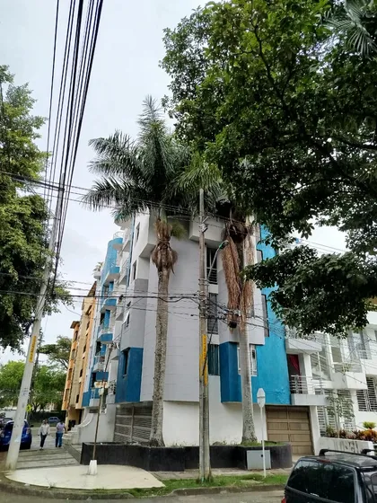 Venta De Apartamento En El Ingenio