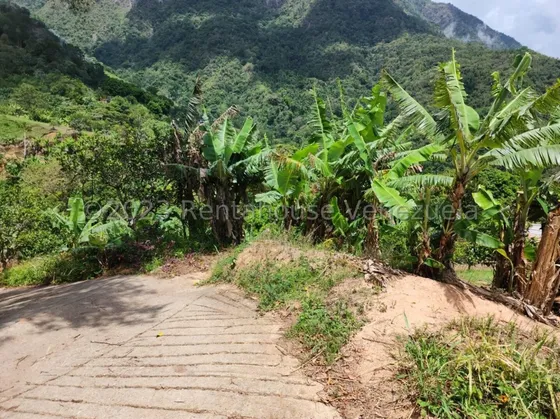 Se Vende Terreno En Galipán