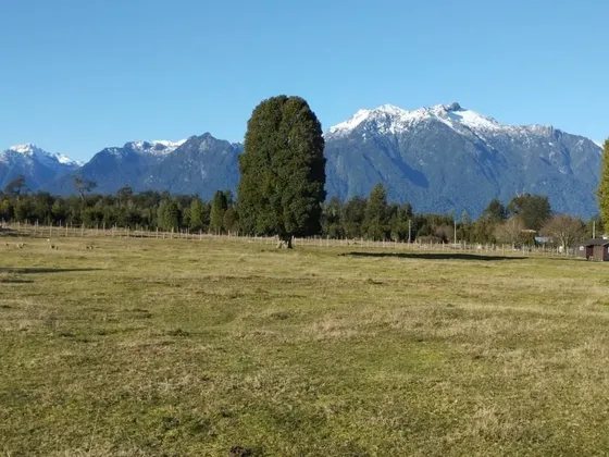 Parcela 10.000 M2 Frente Al Lago Chapo