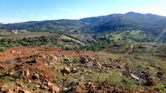 Terreno Ubicado Entre Cauquenes Y Quirihue
