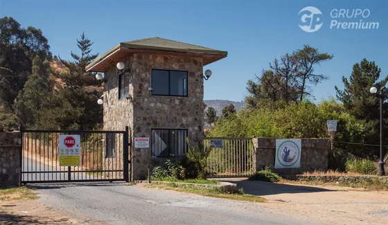 Sitio En Venta En Curicó