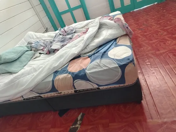 Motivo De Viaje