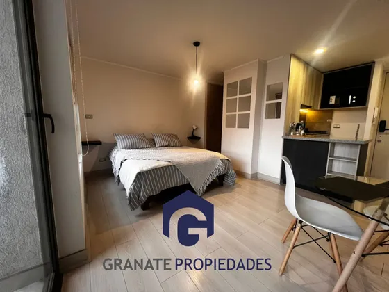 Arriendo Departamento Amoblado, Estacion Central