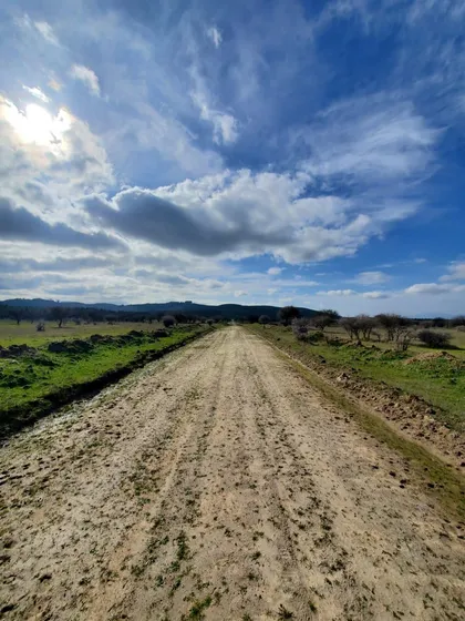 Parcela En Venta En Cauquenes