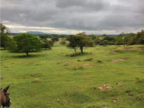 Finca En Venta En Beltran  Cundinamarca