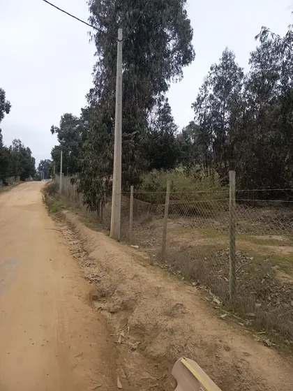Terreno Plano 5.000 Mt2. Lado Estadio Del Totoral, Quisco