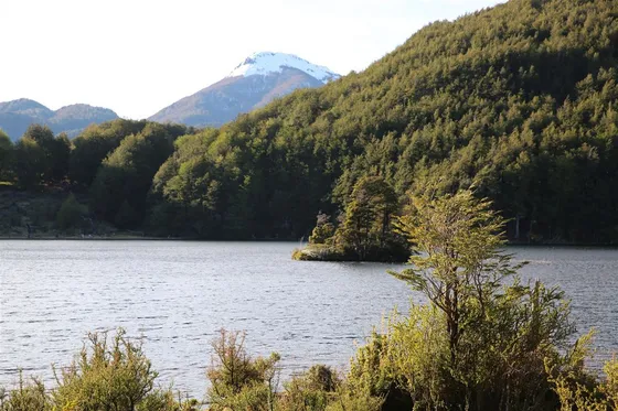 Agrícola En Venta En Coyhaique