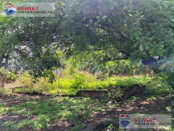 Terreno Escriturado, Cerca De La Uaem, Col. Chamilpa, Cuernavacaclave 3988