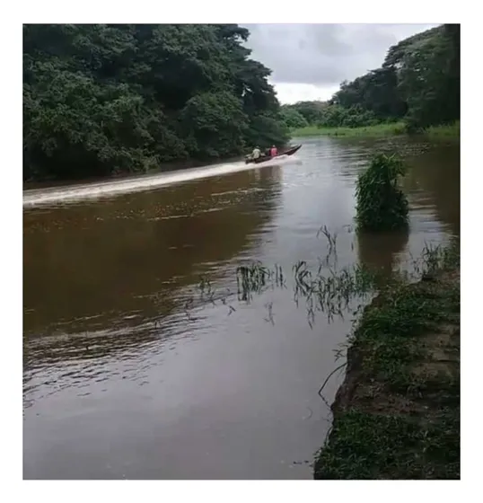 Finca De 600 Has En Arismendi Con Pozos De Agua Y Electricidad 110/220