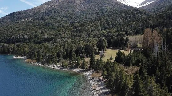 Campo Con Costa De Lago Nahuel Huapi. Huemul