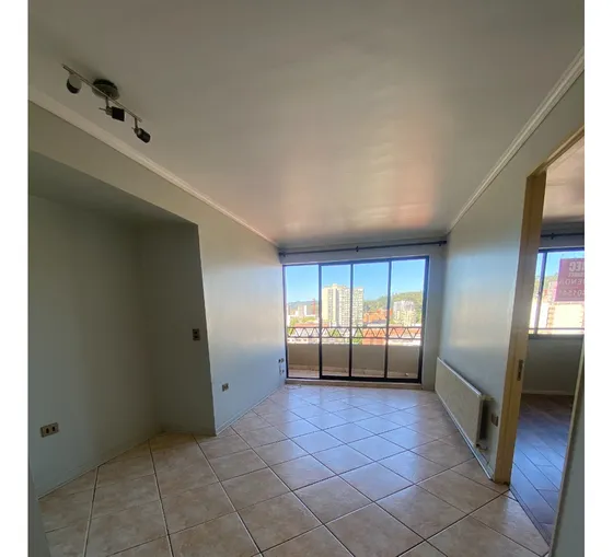 Arriendo Departamento 1 Dormitorio En Concepción
