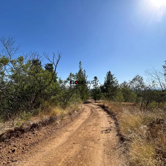 Se Vende Campo En Trehuaco
