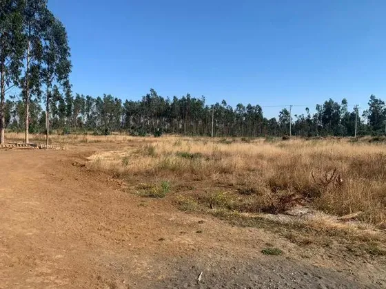 Parcela En Venta En Arauco