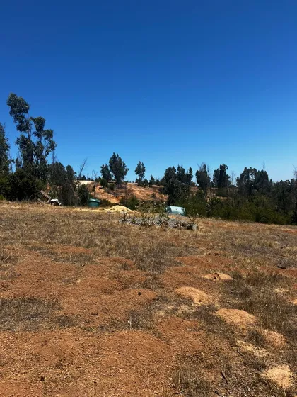 Se Vende Plana Parcela De 5.000 Mt2 En Quilpue, Valparaíso