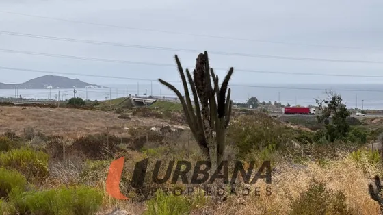 Lomas De Guanaqueros Sitio 5000m2 (53)
