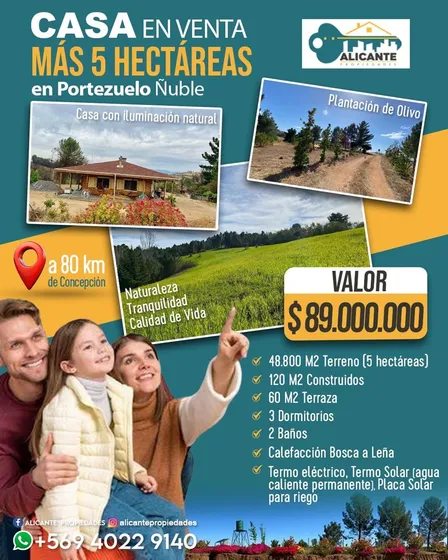 Casa En Venta 5 Hectareas 3 Dorm 2 Baños En Portezuelo Ñuble