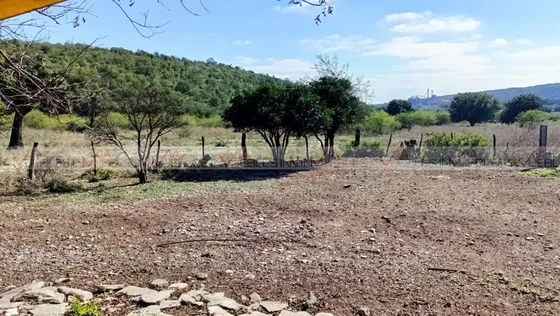 El Palmarito