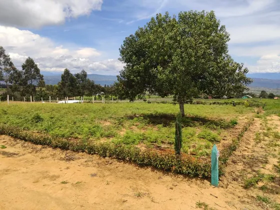 Venta De Lote En Parcelación Bariloche Mesa De Los Santos 