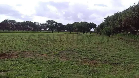 Terreno En Venta En La Avenida Intercomunal De La Ciudad De El Tigre