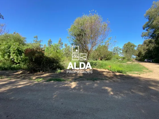 Terreno Bella Vista Piriápolis Venta Te502078