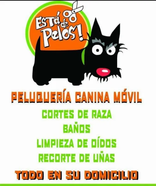 Peluqueria Canina Movil 