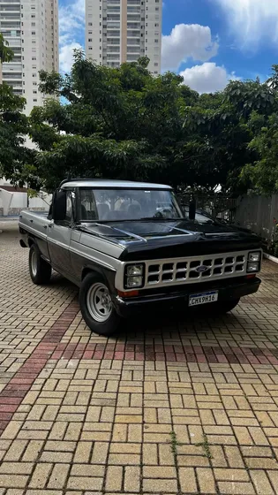 Ford F1000 Ford/f1000 Motor Mwm Caminhonete Diesel