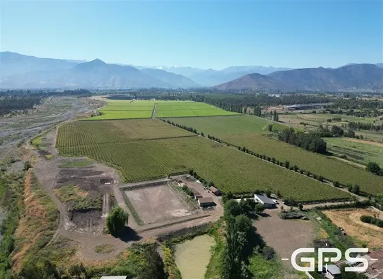 Venta Rengo 63,4 Há