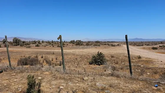 Agrícola En Venta En Ovalle
