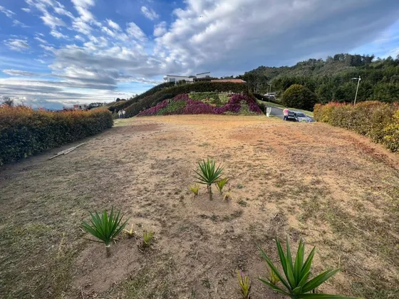 Lote En Venta En Vereda El Chuscal. Cod V10671