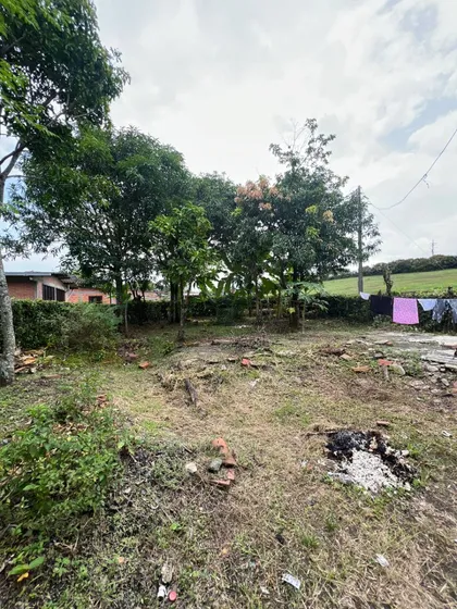 Hermosa Parcela En Taminango Santander De Quilichao Con Arboles Frutales Y Criadero Se Recibe Carro 450 Metros
