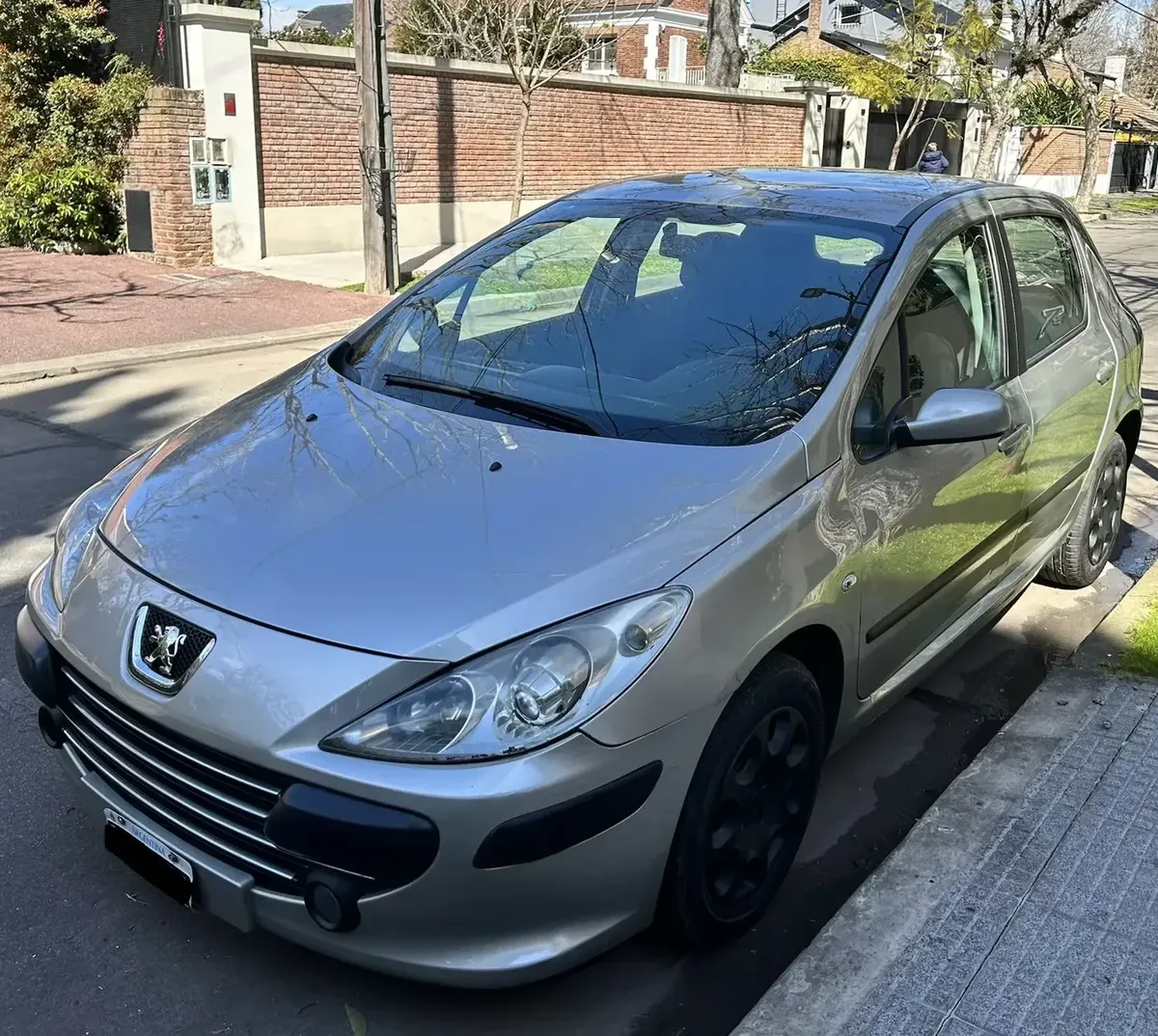 Peugeot 307 1.6 XS