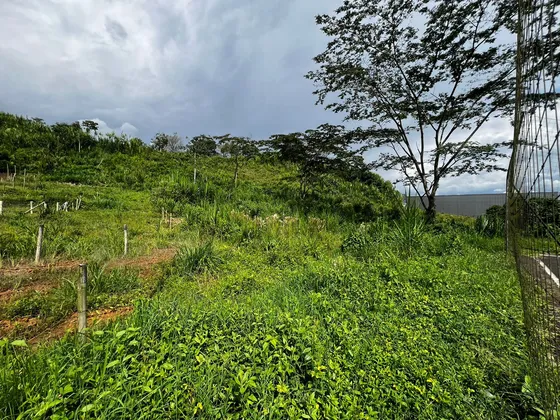 Lote En Venta Colinas Del Bosque - Dosquebradas (279057791).
