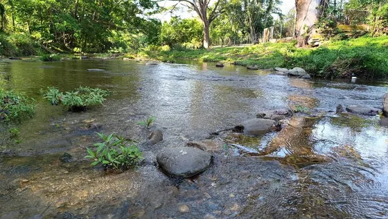 244215 En Venta Finca En Vigirima Con Mina De Piedra  Fp
