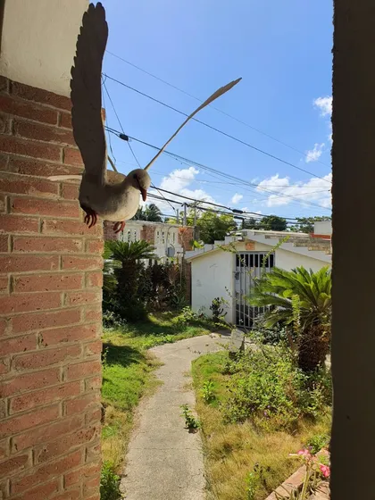 Casa En Esperanza.