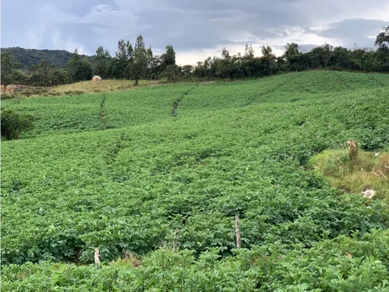 Lote En Venta La Union Antioquia Vía A Sonsón 10.000 M2