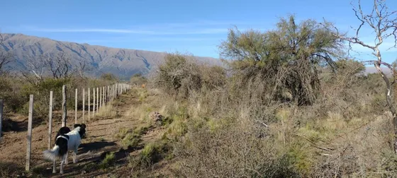 Campo De 7 Has A 20 Cuadras De Avenida Norte