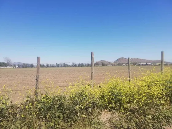 Sitio Industrial Inmediato Ruta Del Sol