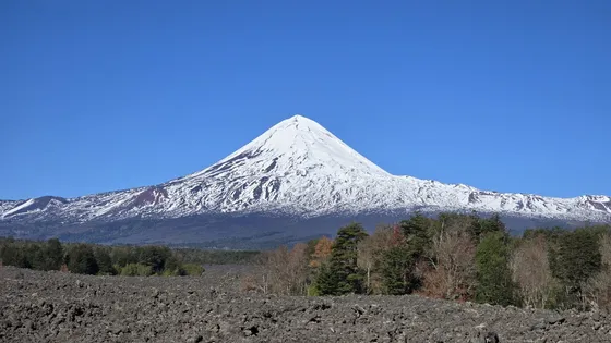 Hermosas Parcelas De Agrado En Conguillío