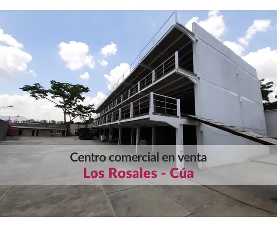 Centro Comercial Shalom En Venta