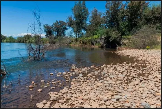 Encuentra Parcelas En El Sur De Chile
