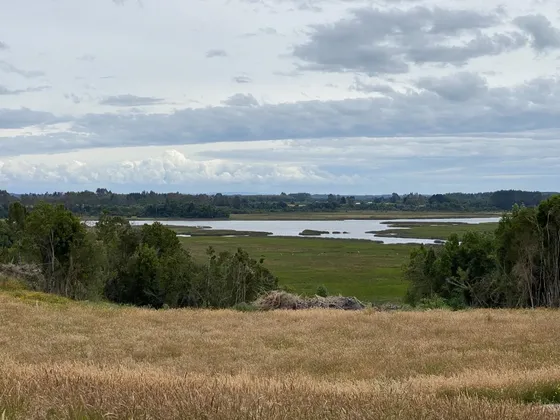 Parcela Con Vista Embarcadero Al Rio En El Peñol Maullín