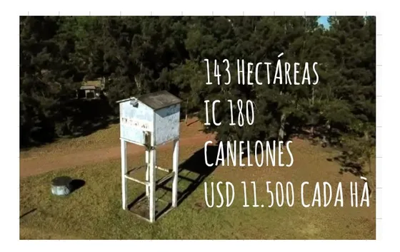 Vendo 143has Ideal Harás Índice Coneat 180/210 Oportunidad De Comprar Oro Líquido.!!! Ubicado En La Localidad De Aguas Corrientes Dpto De Canelones Con 4 Casas, Varios Galpones Aguadas, Arroyos