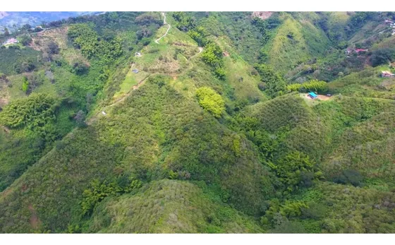 Venta Lote 77.298m² El Tambor San Peregrino Manizales | Lote Rural