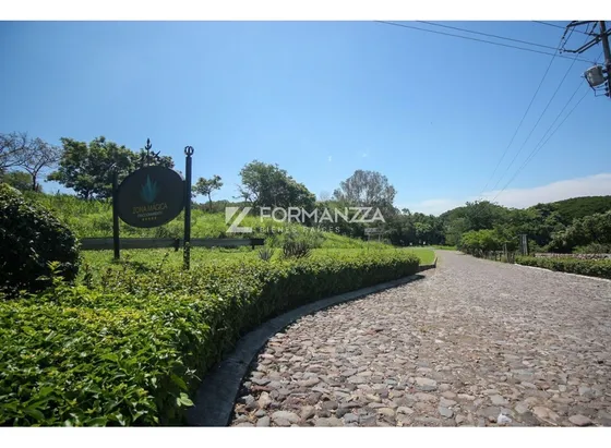Lote En Venta En Fraccionamiento Zona Mágica En Comala